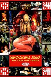 Shocking Asia II: The Last Taboos