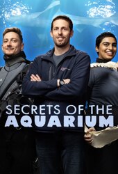 Secrets of the Aquarium