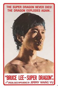 Legend of Bruce Lee