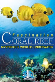 Fascination Coral Reef: Mysterious Worlds Underwater