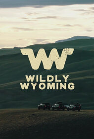 Wildly Wyoming