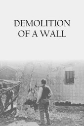 /movies/224548/demolition-of-a-wall
