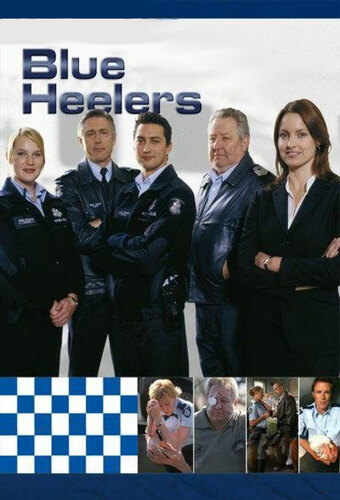 Blue Heelers