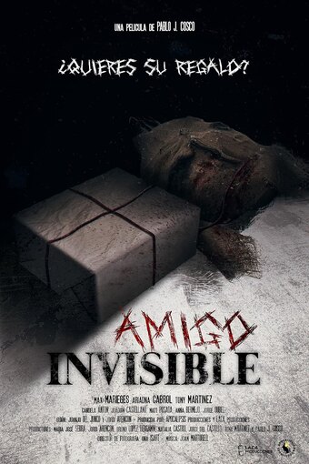 Invisible Friend
