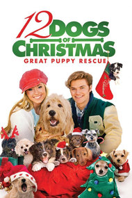 12 Dogs of Christmas: Great Puppy Rescue