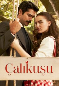 Çalıkuşu