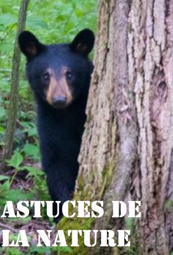 Astuces de la nature
