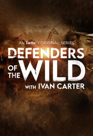 Defenders of the Wild 