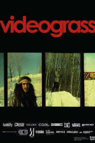 Videograss