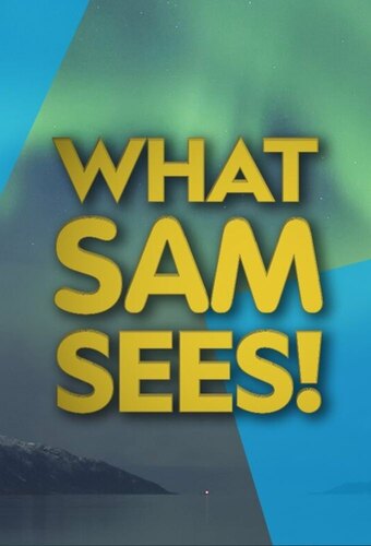 What Sam Sees