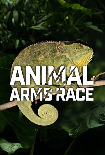 Animal Arms Race