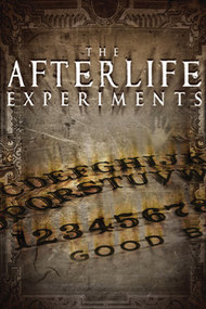 The Afterlife Investigations: The Scole Experiments