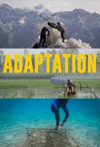 Adaptation