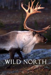 Wild North