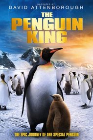 The Penguin King