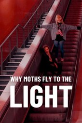 Why Moths Fly to the Light?