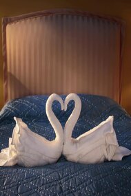 CitizenM: Swan Song