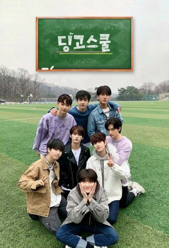 Stray Kids: Dingo School