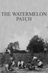 The Watermelon Patch