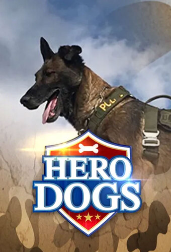 Hero Dogs