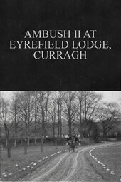 Ambush II at Eyrefield Lodge, Curragh