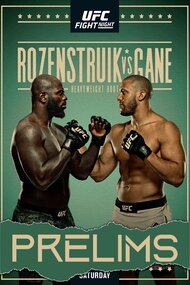 UFC Fight Night 186: Rozenstruik vs. Gane