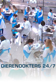 Dierendokters 24/7