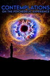 Contemplations: On the Psychedelic Experience