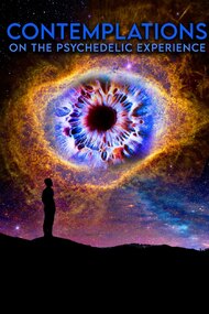 Contemplations: On the Psychedelic Experience