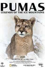 Pumas: Legends of the Ice Mountains