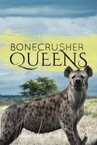 Bonecrusher Queens