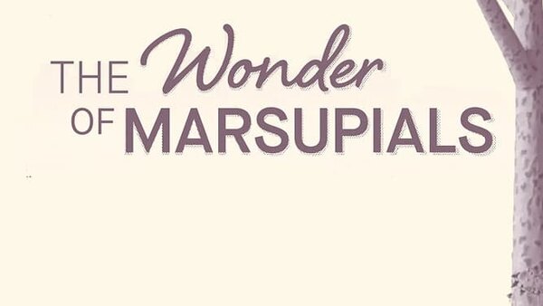 The Wonder Of Marsupials Season 1 Episode 1