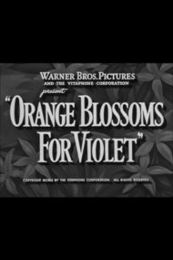 Orange Blossoms for Violet