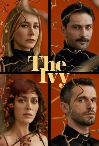 The Ivy