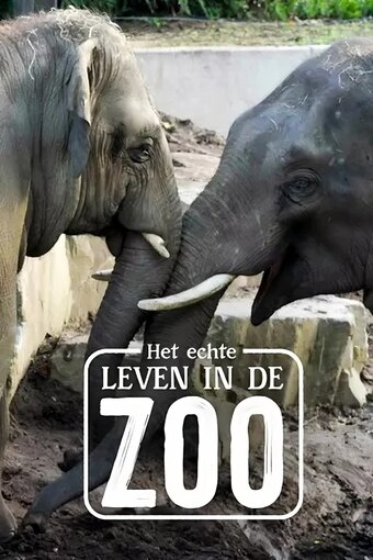 Het echte leven in de ZOO