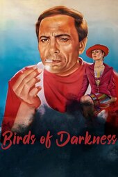 Birds of Darkness