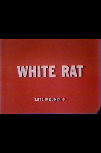 White Rat