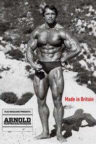 Arnold: Made in Britain