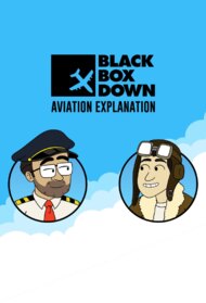 Black Box Down Aviation Explanation