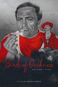 Birds of Darkness