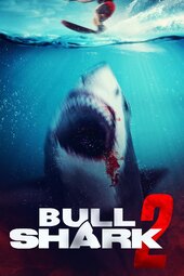 Bull Shark 2