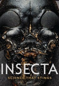  Insecta: Science That Stings