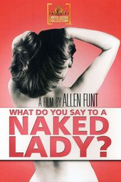 What Do You Say to a Naked Lady