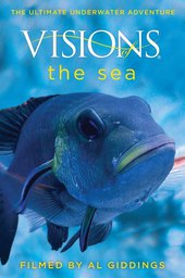Visions of the Sea