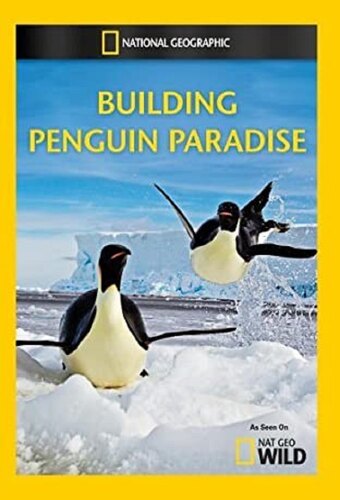 Building Penguin Paradise