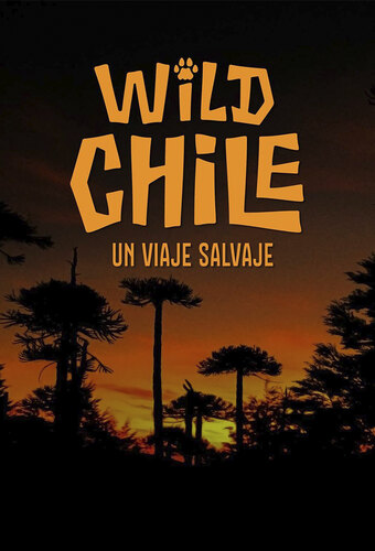 Wild Chile: A Wild Journey