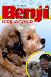 Benji at Work