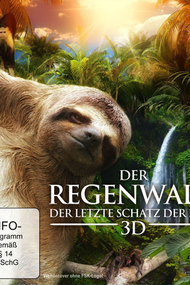 Der Regenwald 3D
