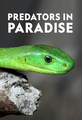 Predator in Paradise