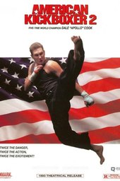 American Kickboxer 2